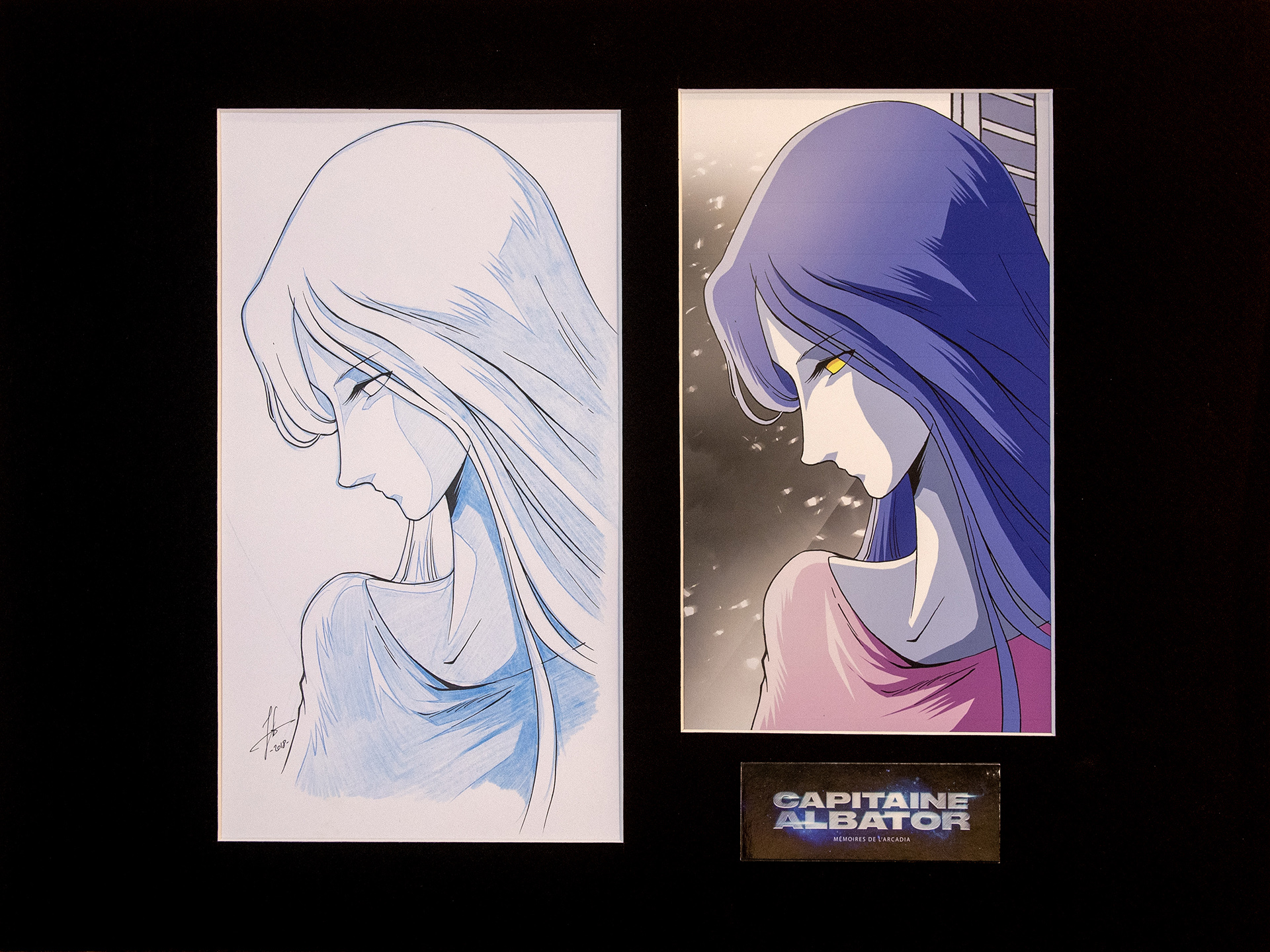 Space Pirate Captain Harlock - Memories of the Arcadia