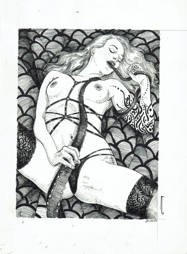 JANEVSKY — Illustration — The virgin's dream
