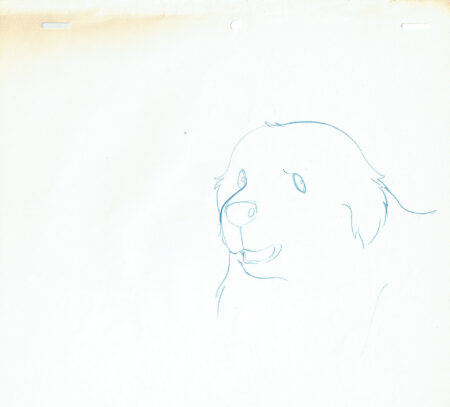 SEKI Shuichi - Belle and Sebastian | Belle and Sebastian – Belle – Preliminary – 4987