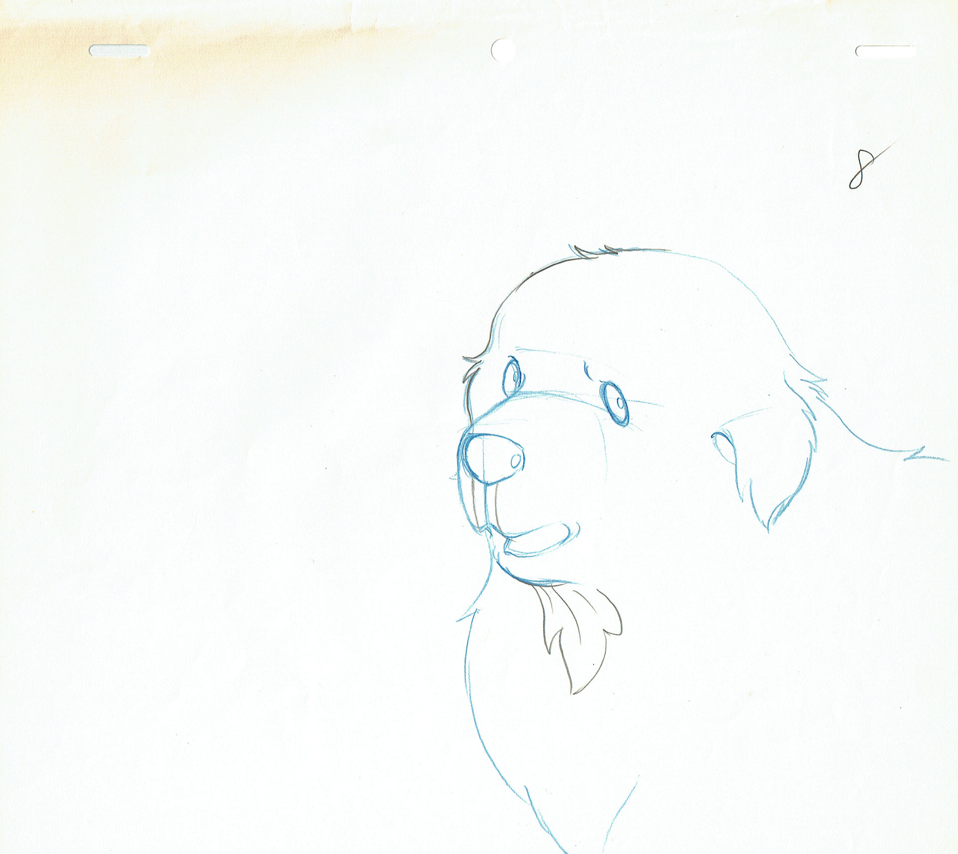 SEKI Shuichi - Belle and Sebastian — Belle and Sebastian – Belle – Preliminary – 4991