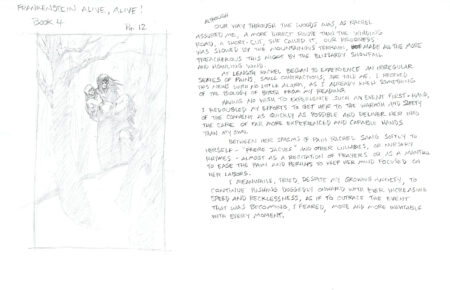 Bernie WRIGHTSON | Frankenstein Alive, Alive! — Issue 4 — Page 12