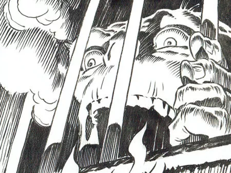  Bernie WRIGHTSON 
