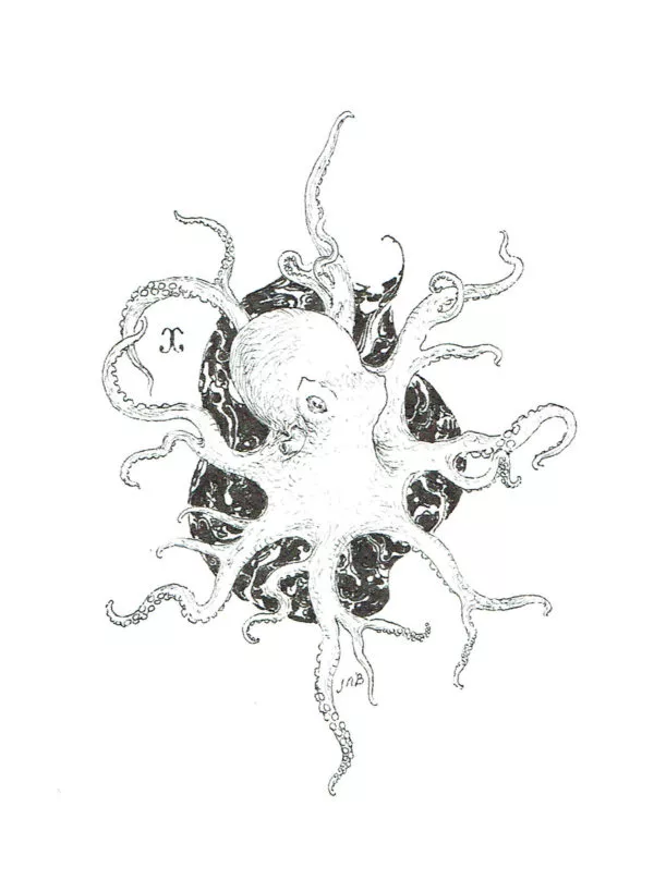 Jeremy BASTIAN — Lil octopus — Illustration