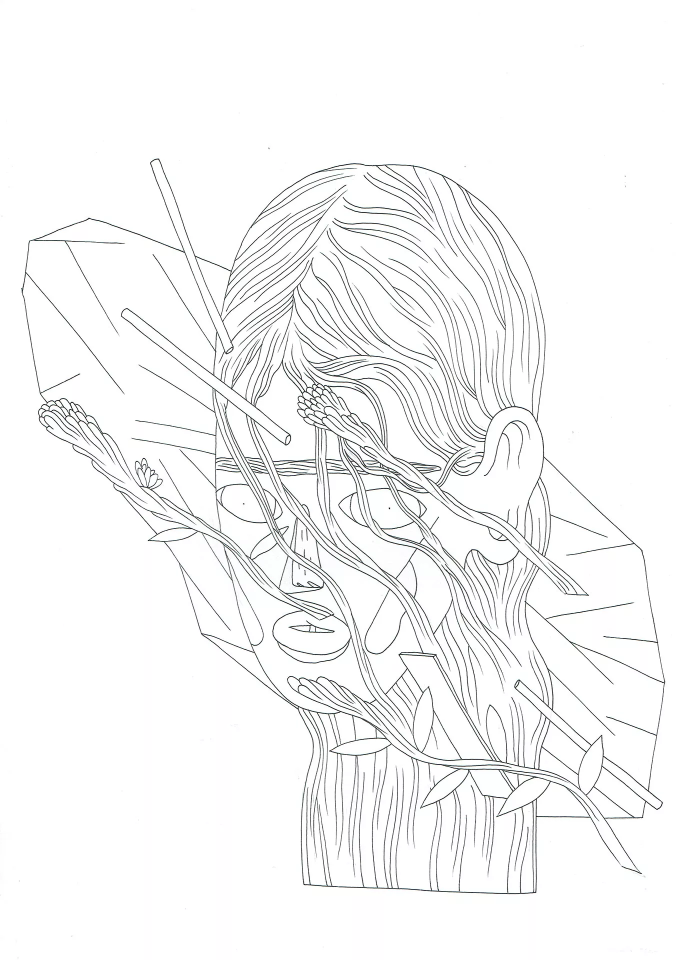 Andres TENA — Lavande — Illustration