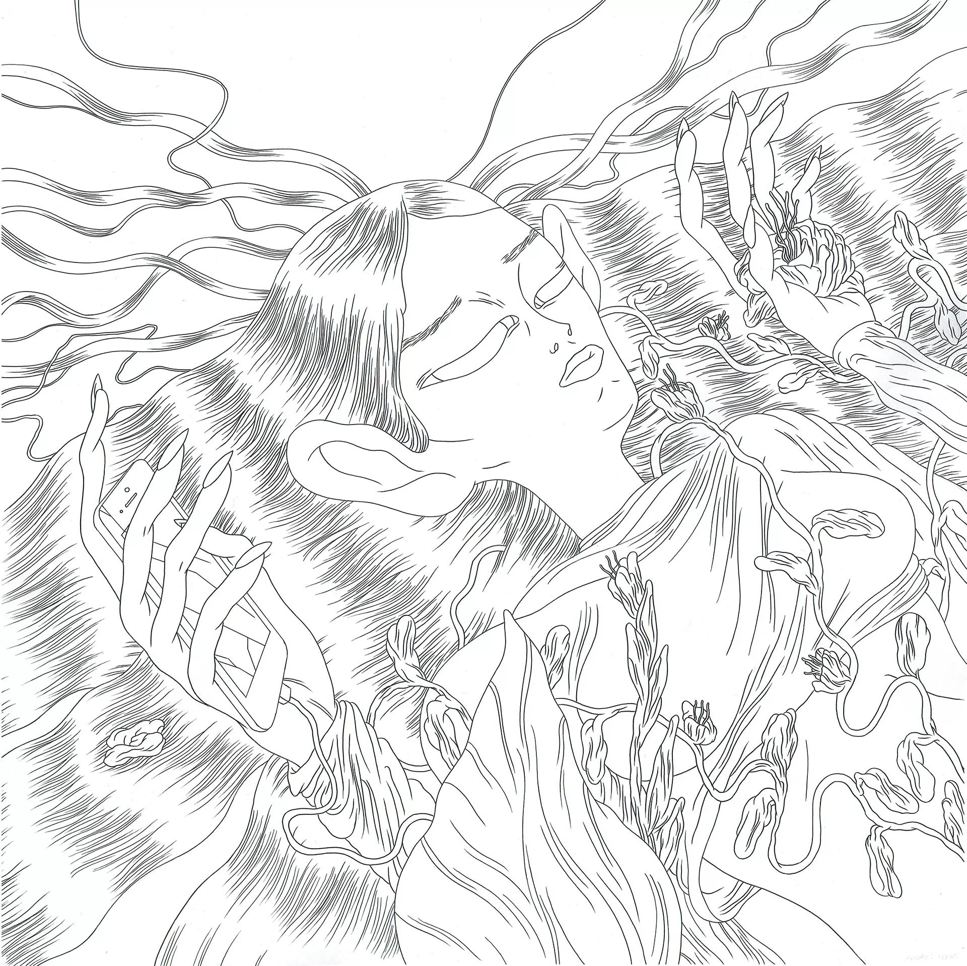 Andres TENA — Juventud — Illustration