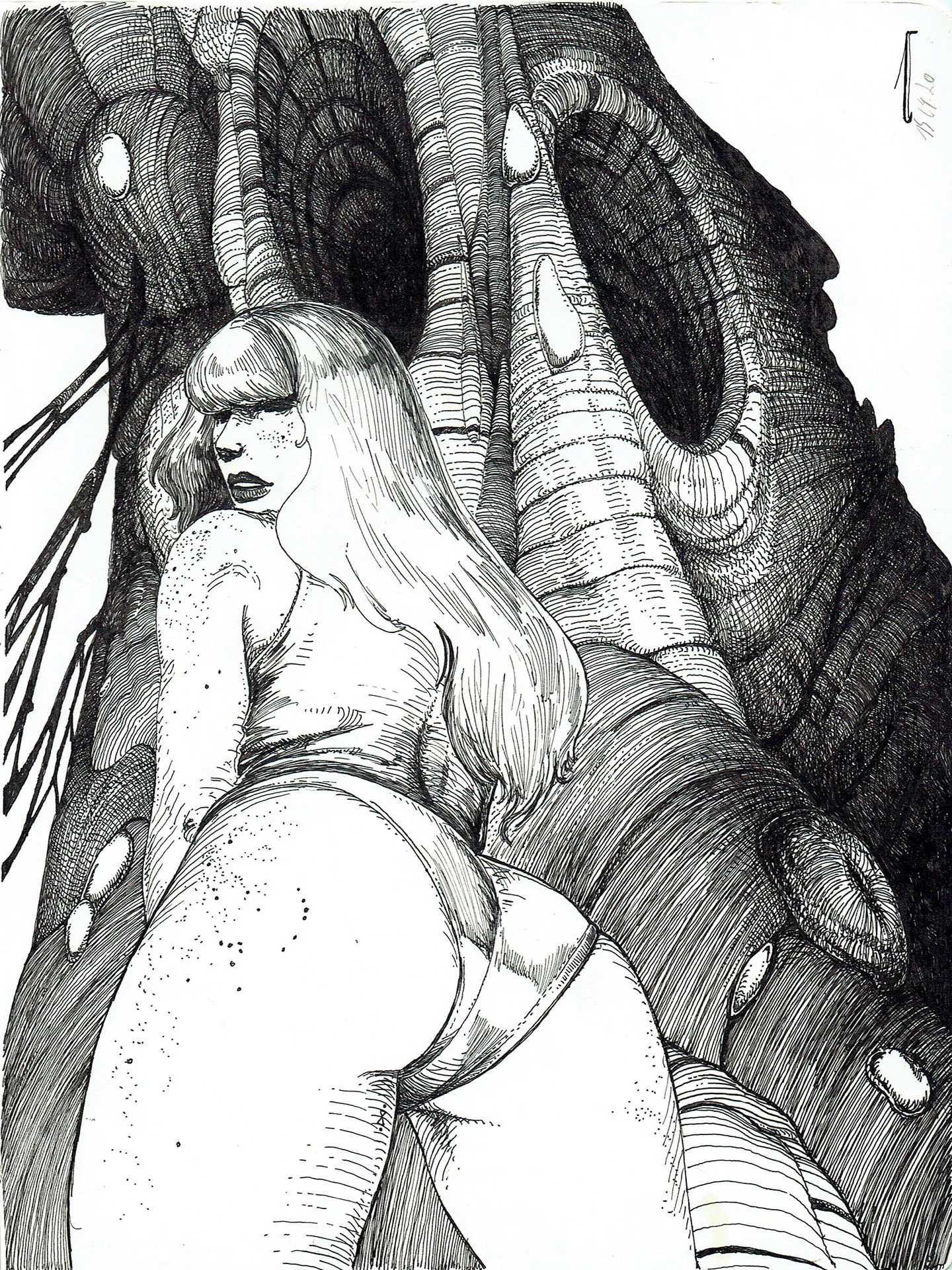 JANEVSKY — Illustration — The thousand year old tree