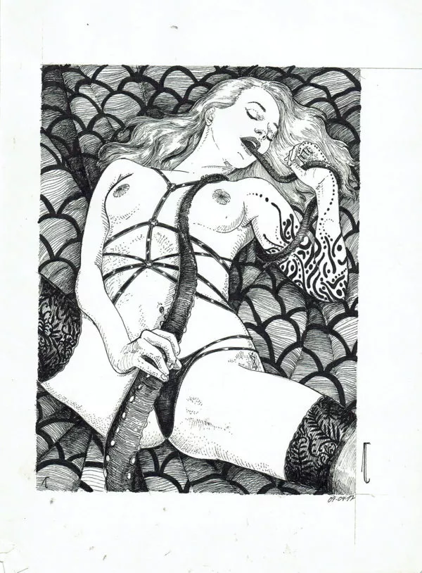 JANEVSKY — Illustration — The virgin's dream