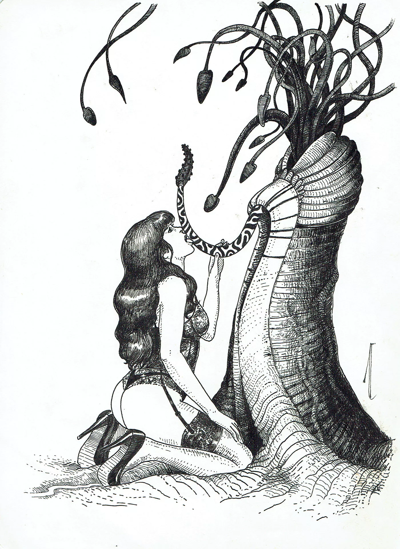 JANEVSKY — Illustration — The gift #1