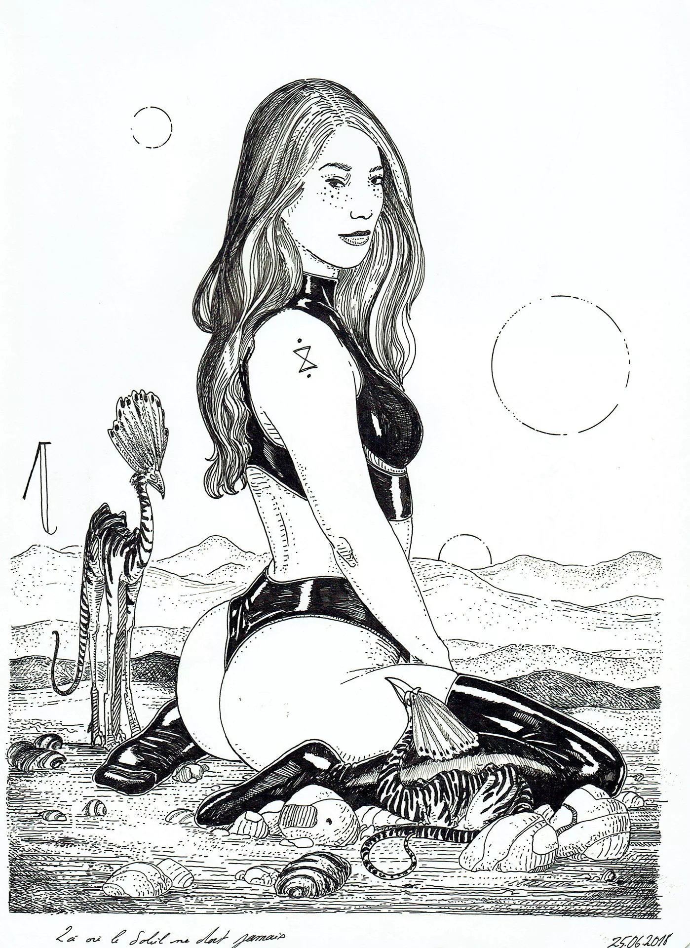 JANEVSKY — Illustration — Where suns never sleep