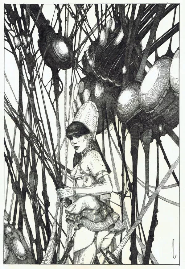 JANEVSKY — Illustration — La toile