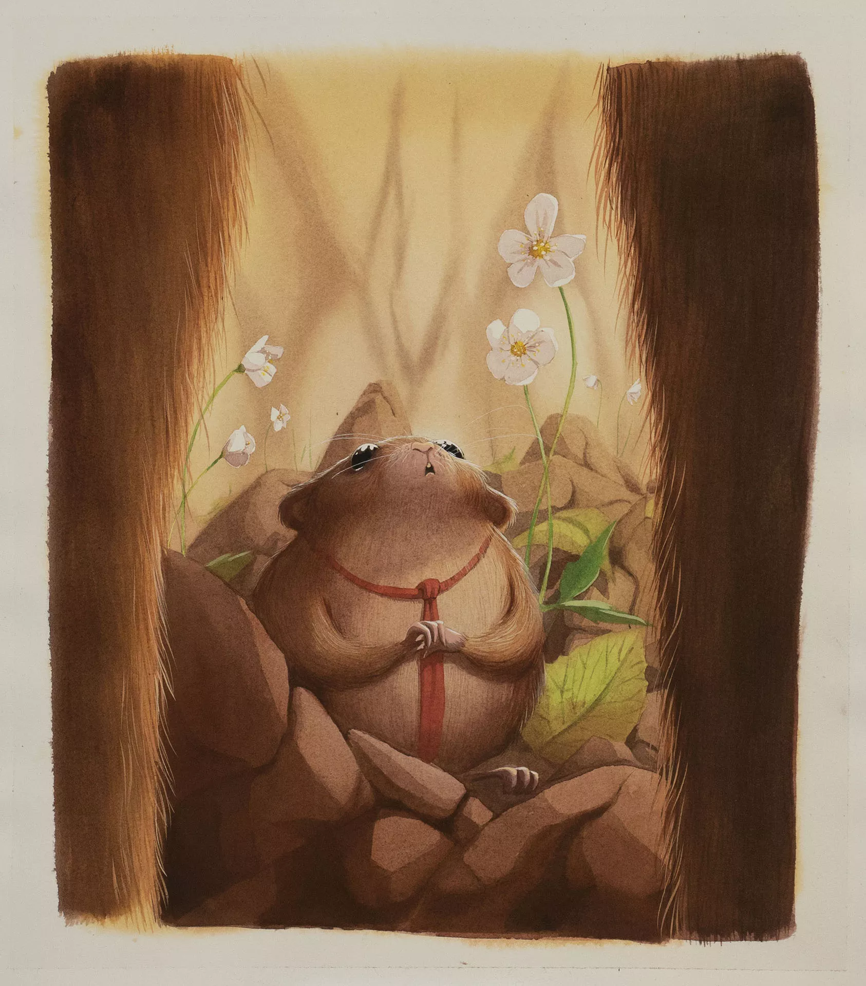 Thibault PRUGNE | The Fox and little George — Page 6