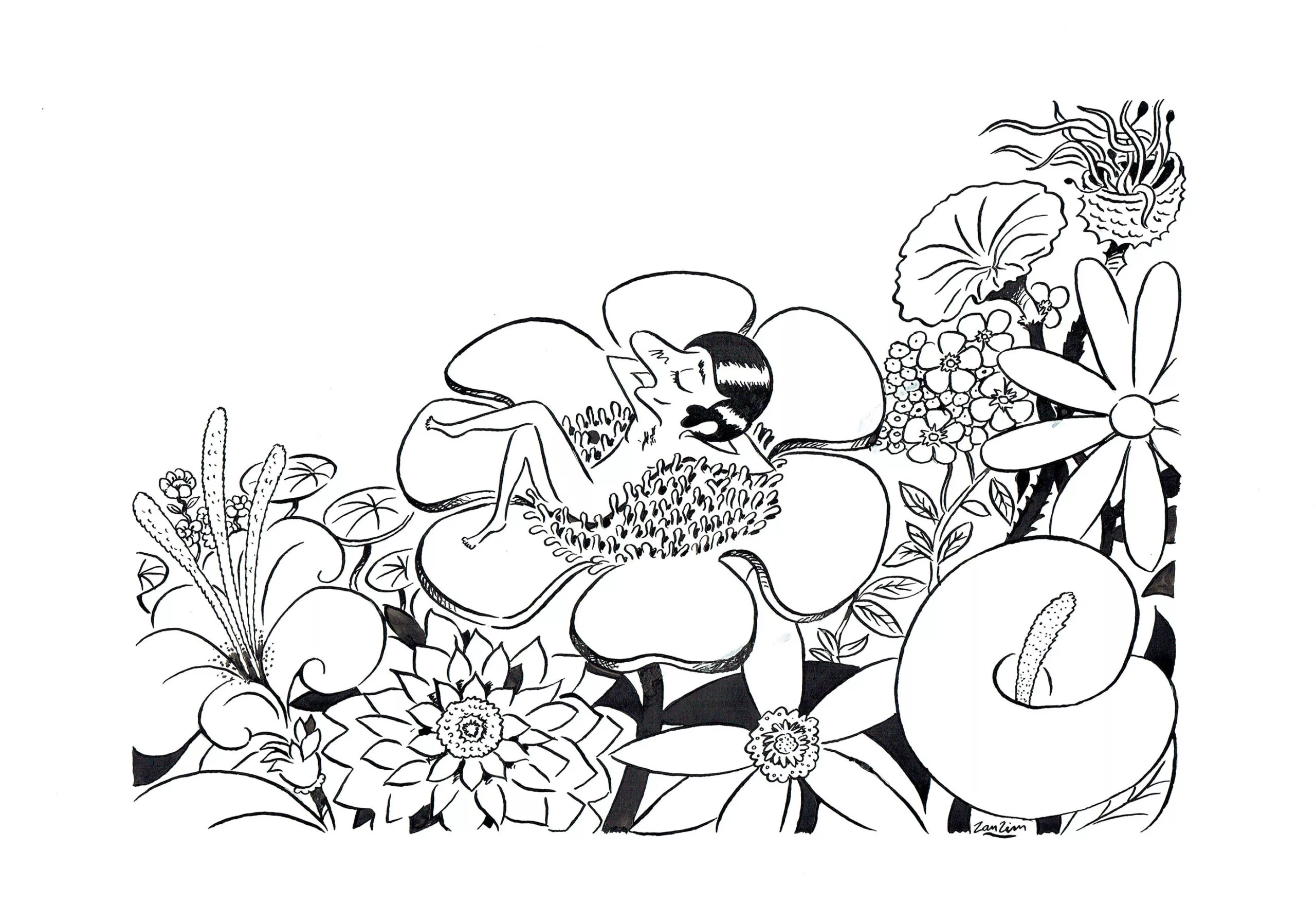   ZANZIM | Grand petit homme — Ex-libris n°1 — Page 